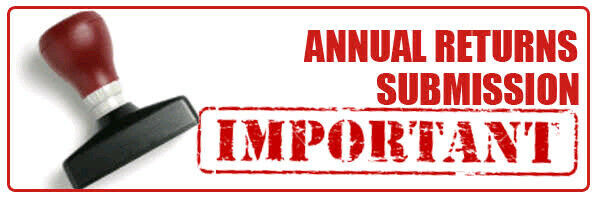 Annual Return Annual Return